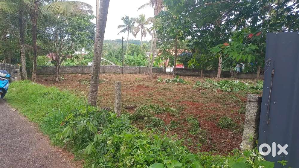 21 സെന്റ് പുരയിടം