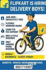 Delivery Executive
