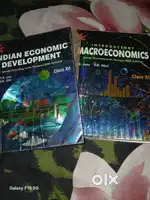 Class 12 eco books