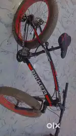 FAT Bicycle 10 Gear Bike