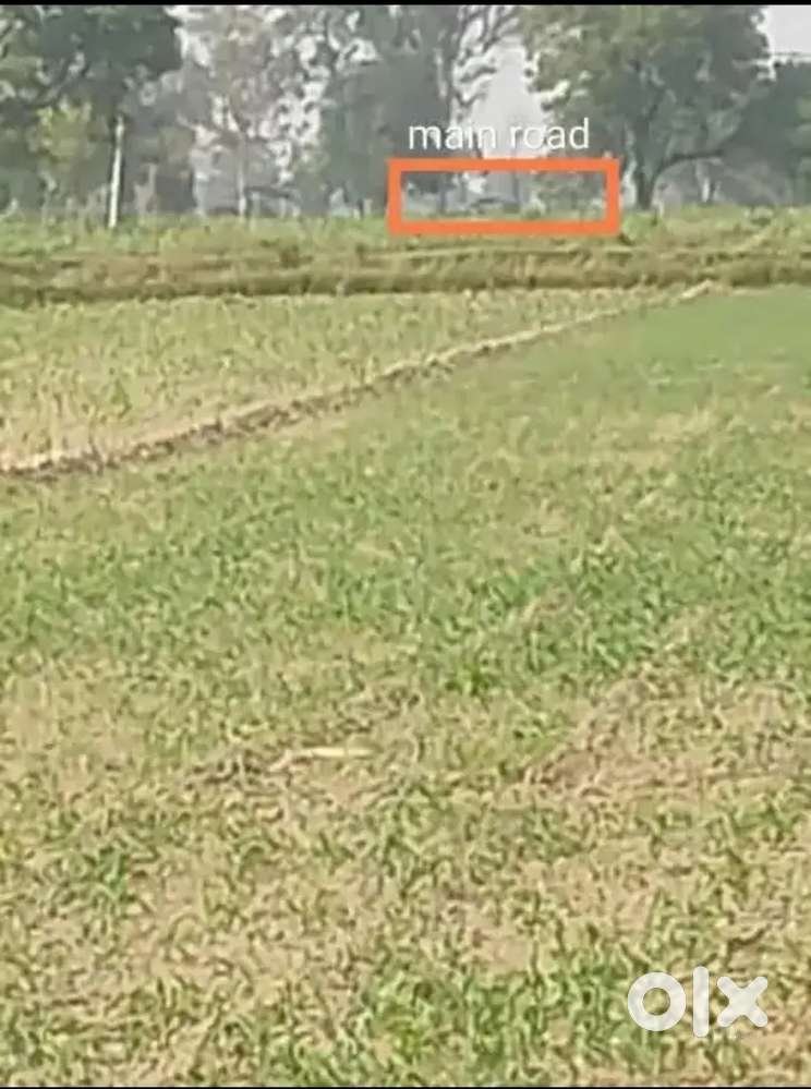 Khimawatti Ravali Road Area 4200 gaj zameen Reason mujhe Faram lena h