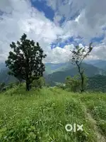 10 bigha land sale kanswali near upes kandholi 90 lacs per bigha