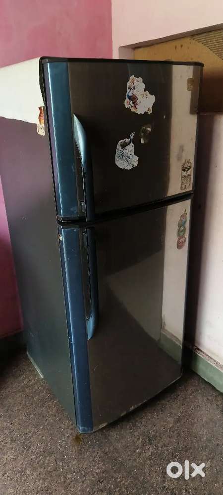 Double Door Fridge
