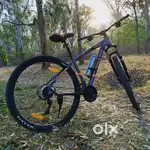 WALTX Summit 29 T (inch) Mountain Cycle
