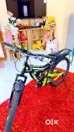 Branded Dashing Cycle