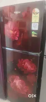 New fridge