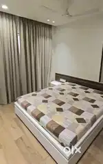 3Bhk Full Furnished Flat In Pal.