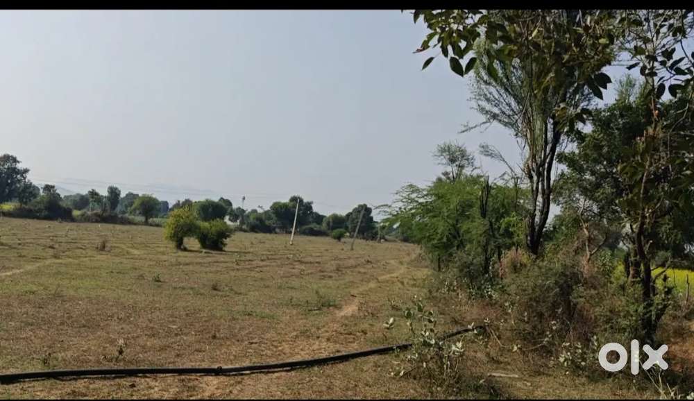 Agriculture land for sale bhrundha