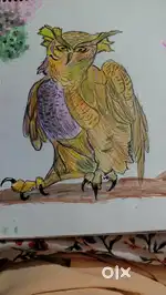 OWL Drawing made by hand
