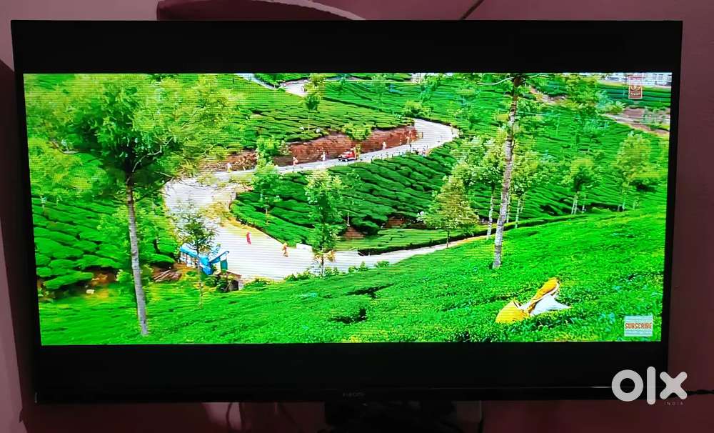 New 1.5 Year MI TV
