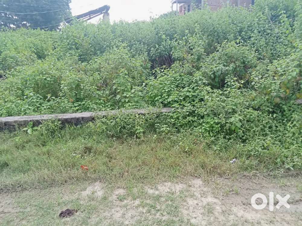 PLOT at  chaka near to  COD, Rewa Highway..