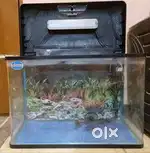 RS Electrical 600B Fish Aquarium