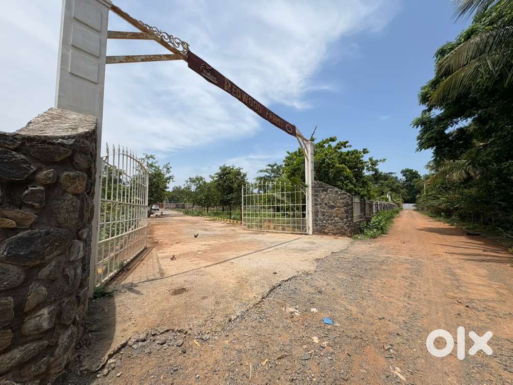 Plot for sale in Auroville