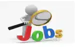 Need good looking female freshers girl's for job