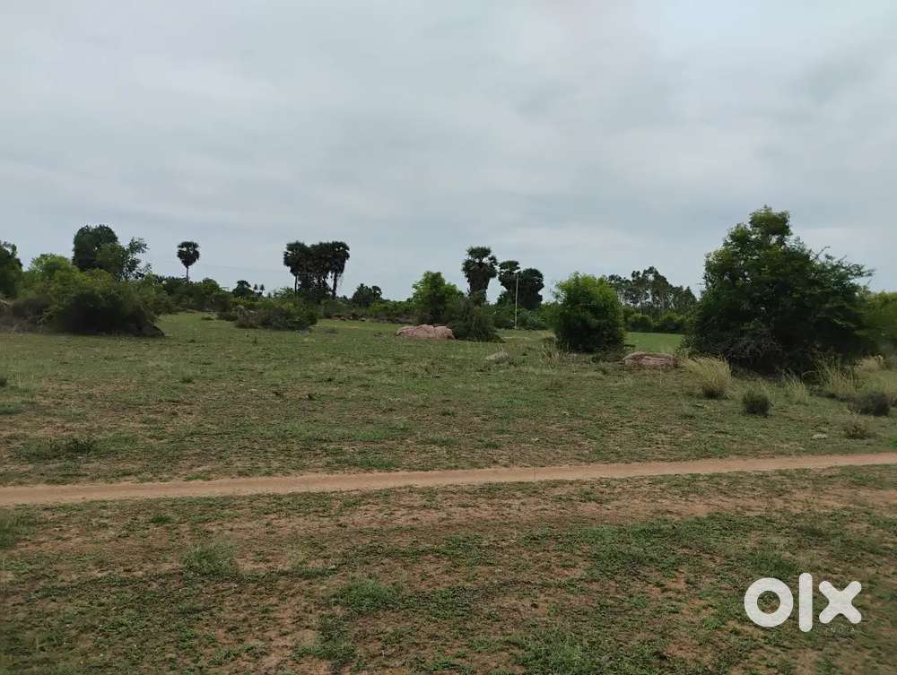 Agriculture purpose or Quarry purpose land for sale