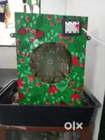 Cooler fan
