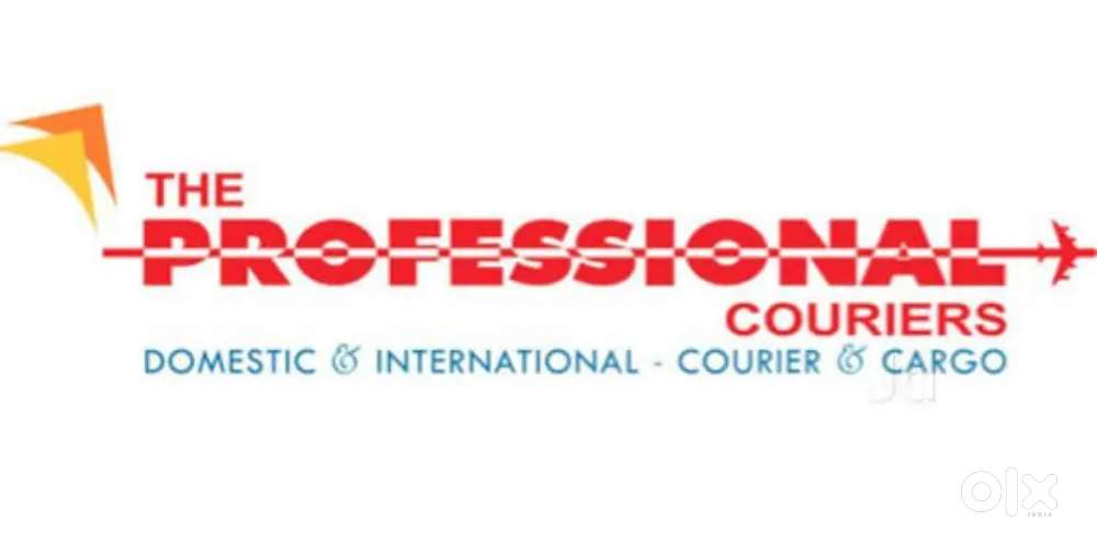 Professional courier