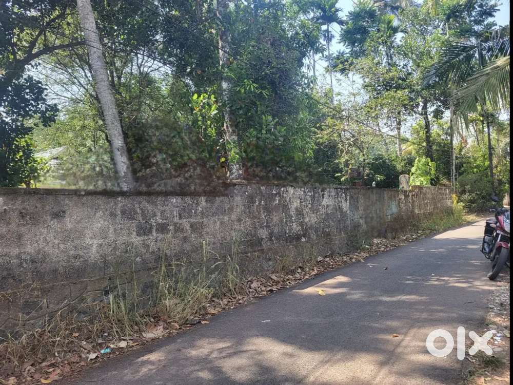 11 cent Mulanthuruthy