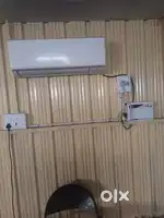 2 year old with good compeessor