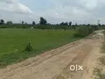 Purulia and panchit road plot at.14 lakh bigha