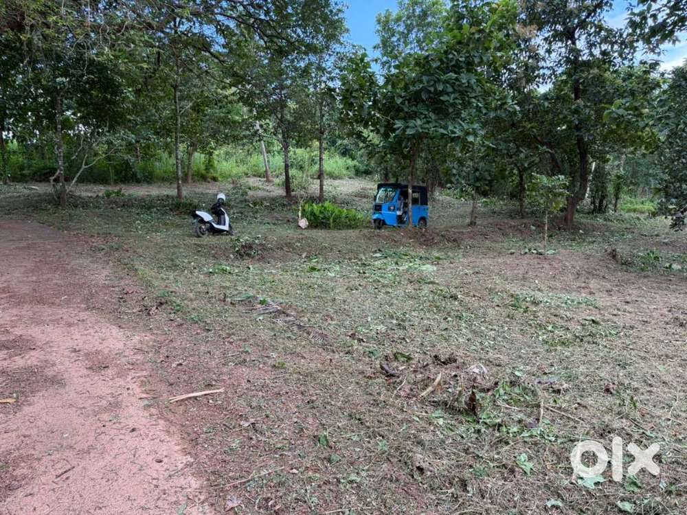 House plot for sale at Chekkikulam