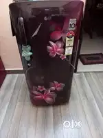LG 165ltr 9years