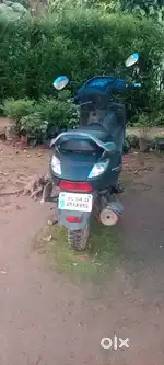 Neat vehicle
