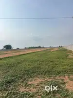 RAMACHANDRA LAND