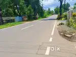 11 cent commercial cum residential land for sale in kanjoor parappuram