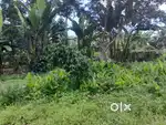 Kodaikanal Hills area, land for sale