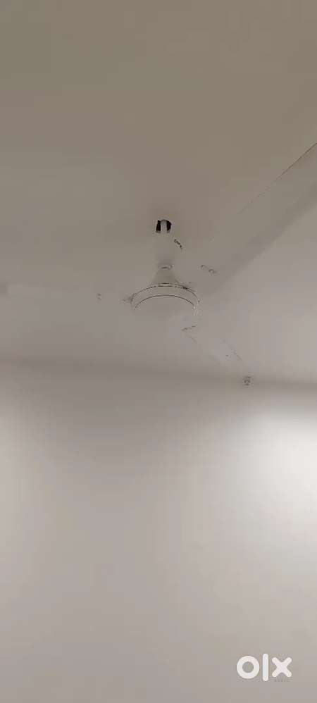 Crompton opal white fans