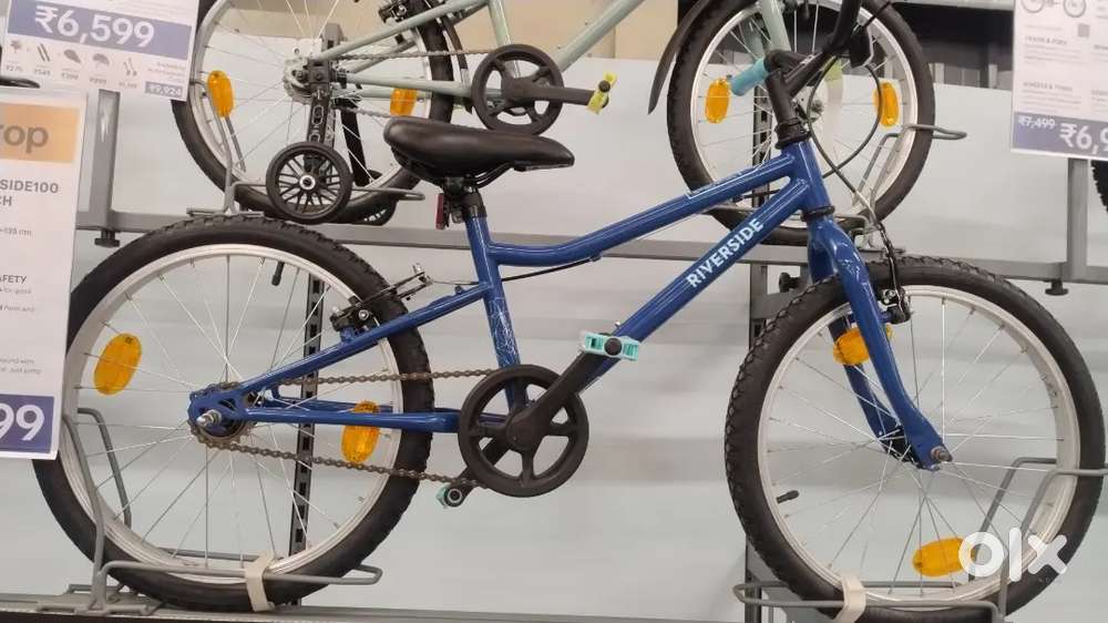 Cycle Mechanic expert