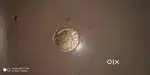 A 10 keπok coin from 1962