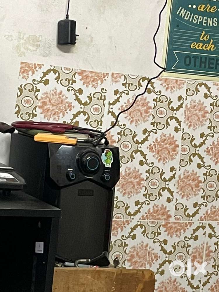 zebronics speaker