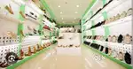 Shoes Shop sales job