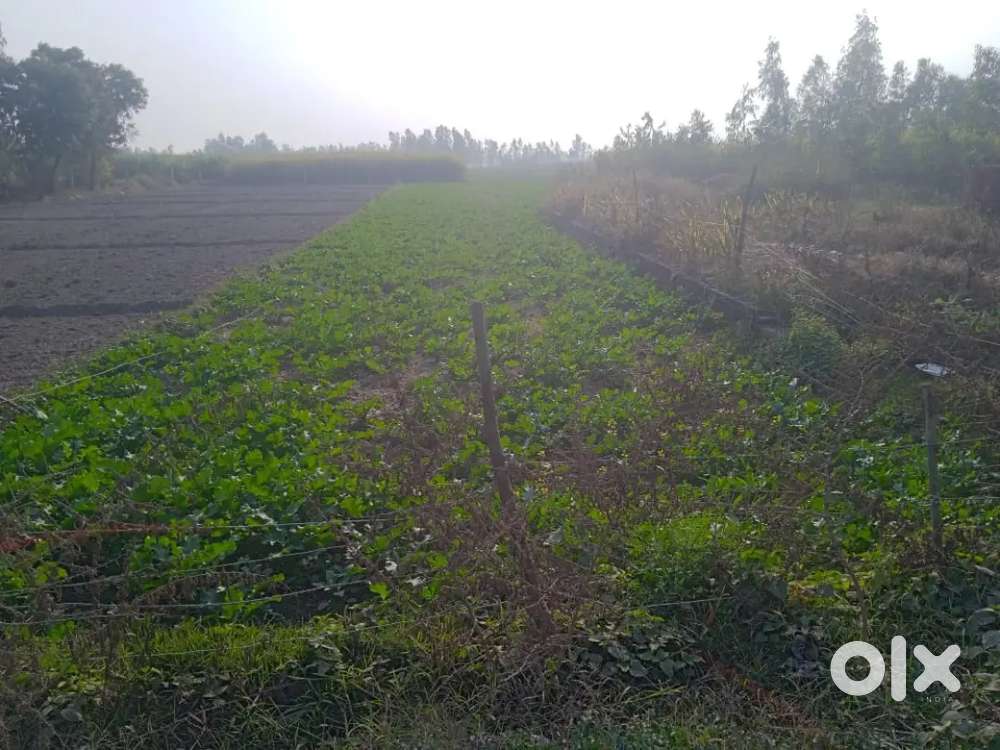 Khet h agricultural plot