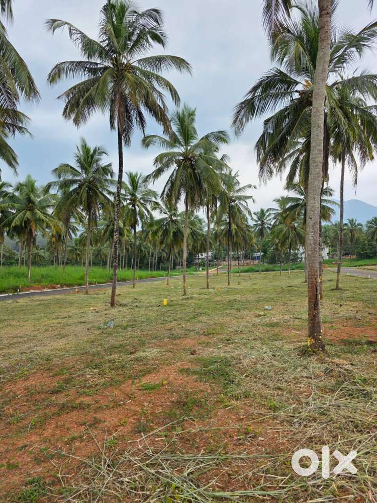 Residential land for sale in Mannarkkad