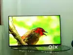 Wholesale 32 SMART + ANDROID LED TV RS - 6500/- FREE HOME DELIVERY