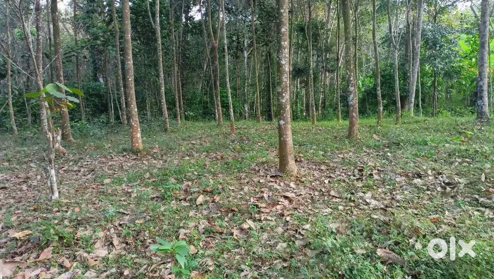 സ്ഥലം വില്പനക്ക് 3.80 ഏക്കർ  Urgent sale