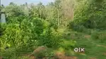 18.5 Cent land sales Road side base