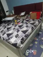 Bed plywood 6x6 ( 10 months old )