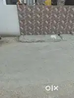 Ready to move