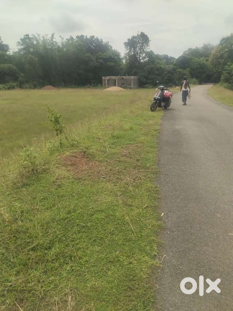 Murgabadi hot residential plot 8 decimal... Per decimal 8 lakh