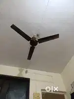 Celing Fan