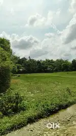 4 bigha of land