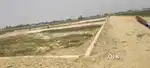 कुशीनगर में पकवाइनार में  रियल एस्टेट में जॉब करने के लिए संपर्क करें