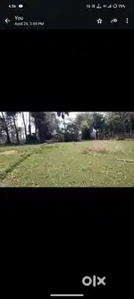 51dismilll