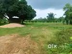 Very good plot and value of money