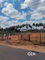 Excellent Land for sale in Kaniyur Somanur