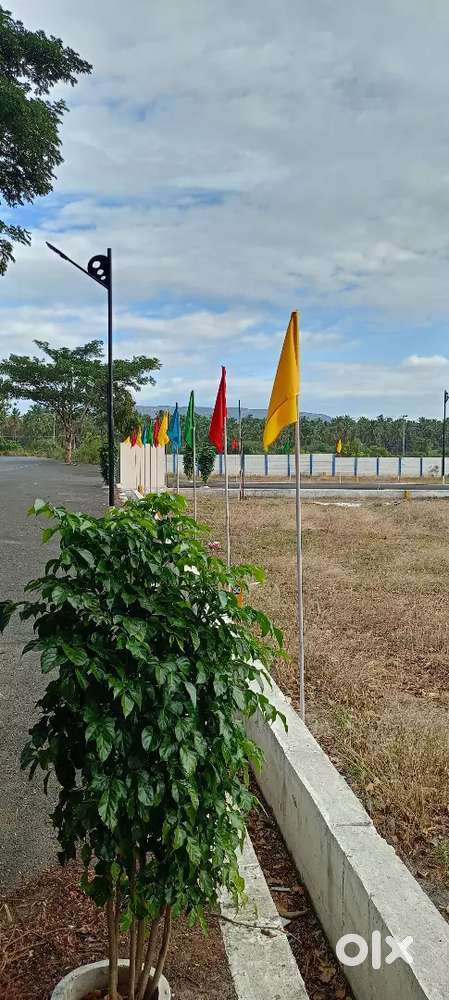 DTCP Approved low budget price